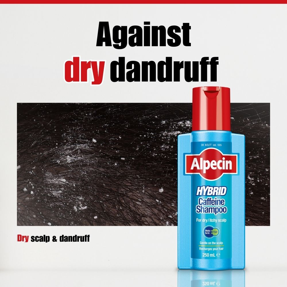 Alpecin Hair Loss Set – Alpecin Hybrid Caffeine Shampoo + Caffeine Liquid Forte 200ml - Itchy Scalp & Hair Loss
